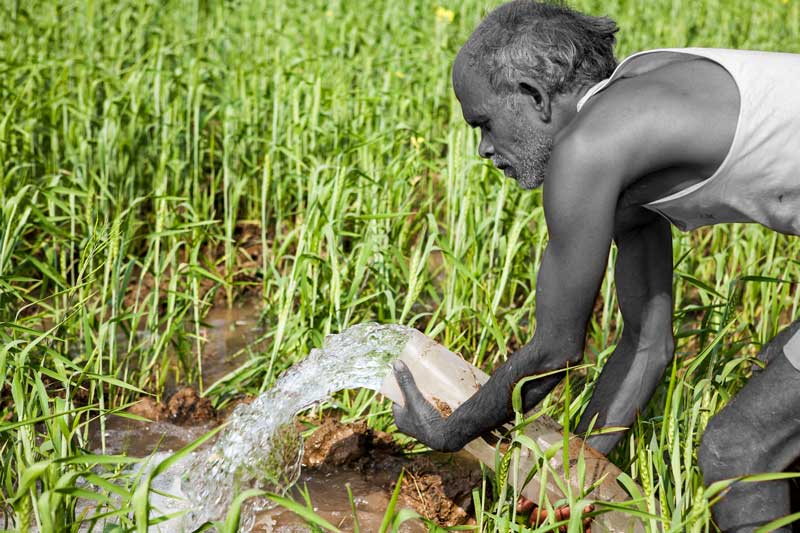 Irrigating wheat fields with tubewell water in Bihar - wheat being the major Rabi crop of Bihar under the Green Revolution